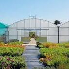 Green Houses and Poly Tunnels 